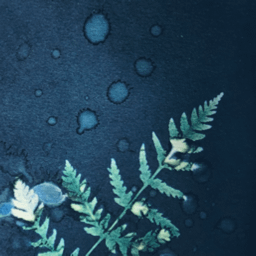 cyanotypes